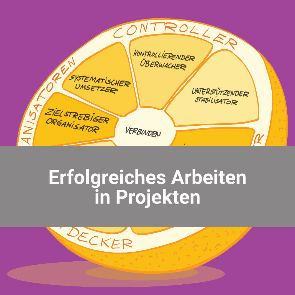 Erfolgreiches Arbeiten in Projekten